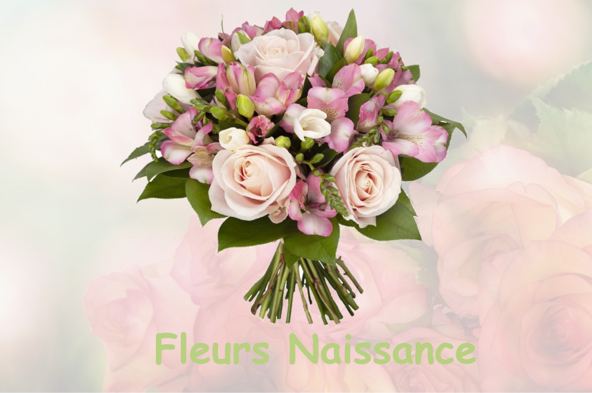 fleurs naissance ELINCOURT-SAINTE-MARGUERITE
